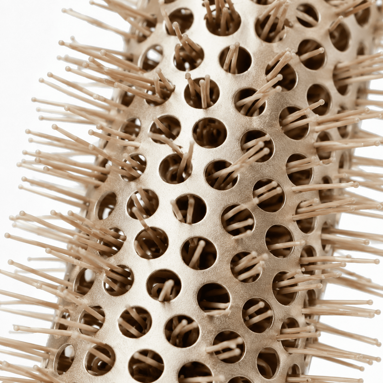 La Brosse Royale - Klerya Beauty